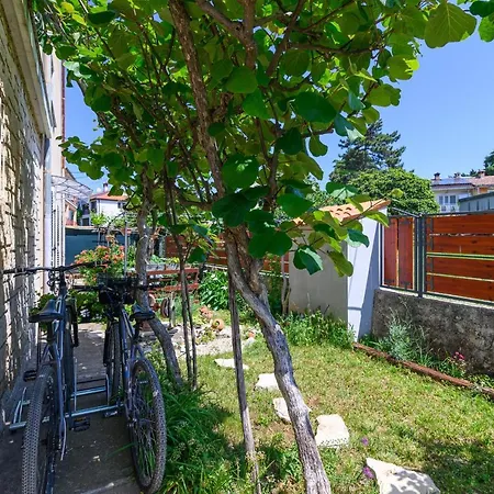 Apartment With A Parking Space - 19088 Rovinj